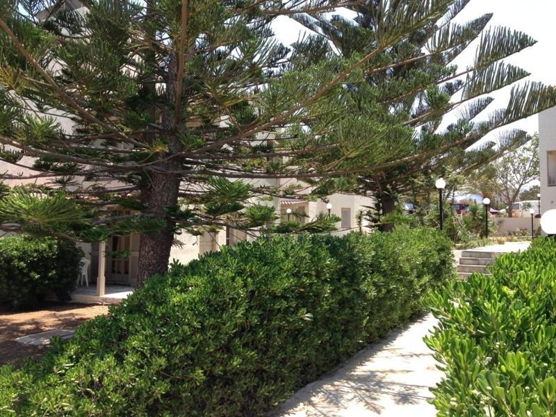 Panorama-Seaview Studios & Apartments Hersonissos  Bagian luar foto